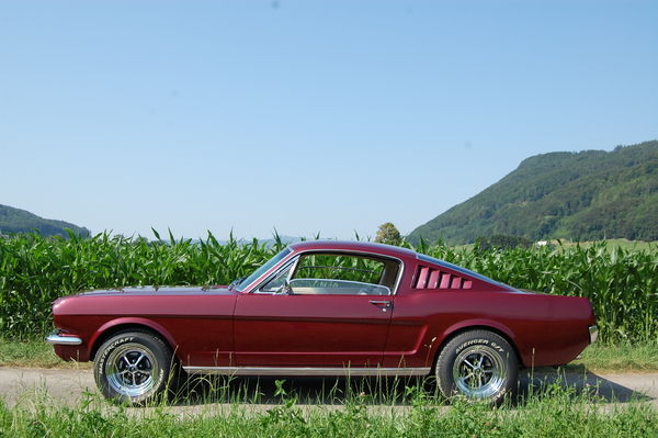 Ford Mustang 289 Fastback (1966) - angeboten an der Versteigerung der Oldtimer Galerie in Toffen am 29. November 2014