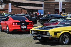 Ford Mustang Boss 351 (197) - neben jüngeren Mustangs