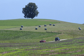 Ford Mustang Cabriolet (1964) - an der OCC Jungfrau-Rallye 2016