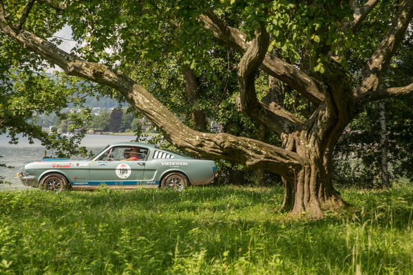 Bild Ford Mustang Fastback (1965) - 32. Ennstal-Classic 2024