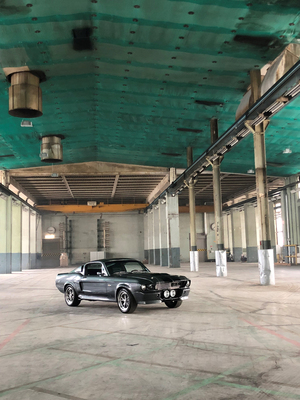 Bild: Ford Mustang Fastback (1967) – Nachbau des Shelby GT-500 "Eleanor", gepflegt von Motorex – Allein auf weiter Flur