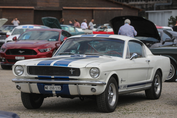 Ford Mustang Fastback 2+2 (1965) - Die Hubraumangabe am Kotflügel gesteht offenkundig, dass es kein echter Shelby ist. Pluspunkt für Ehrlichkeit! - 8. Mustang & Shelby Meeting 2024