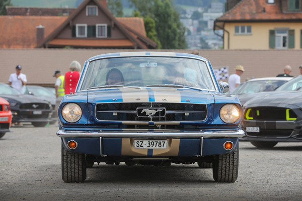 Ford Mustang Fastback 2+2 (1966) - mit goldenen Längsstreifen wie das Hertz-Sondermodell - 8. Mustang & Shelby Meeting 2024