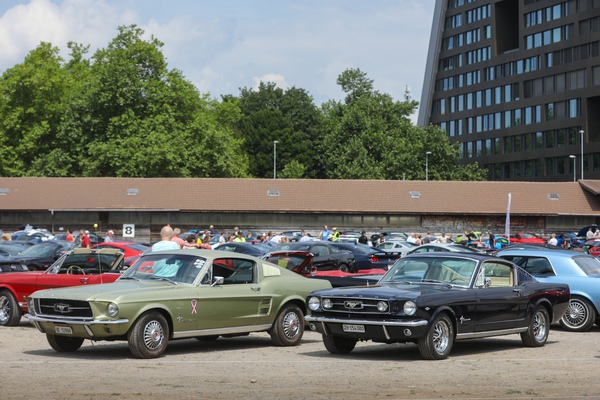 Bild Ford Mustang Fastback 2+2 (1967) - neben einem Pendant aus dem Vorjahr mit GT-Ausstattung - 8. Mustang & Shelby Meeting 2024