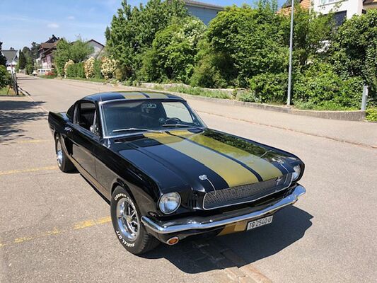 Ford Mustang GT Fastback (1966) - als Lot 195 an der Dutch Auction Company "Extravaganza" Versteigerung 2024