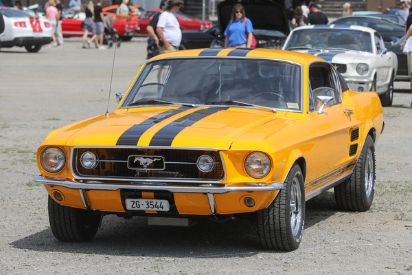 Ford Mustang GT Fastback 2+2 (1967) - "Hübsche Rallyestreifen" - 8. Mustang & Shelby Meeting 2024