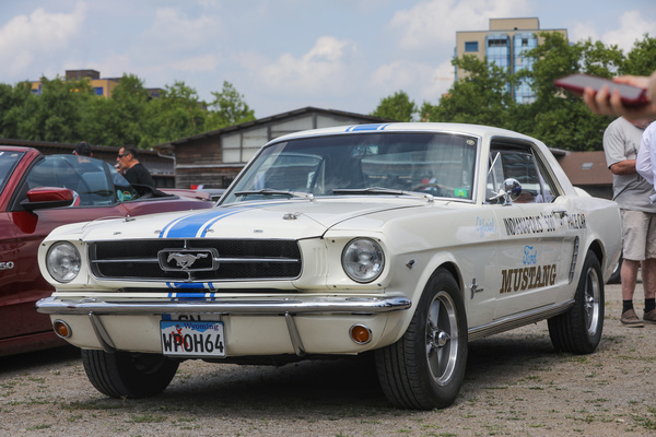 Ford Mustang Hardtop (1965) - Replik des Indy-500-Pace-Cars 1964 mit deutscher FE-Schrift auf einem amerikanischen Nummernschild - 8. Mustang & Shelby Meeting 2024