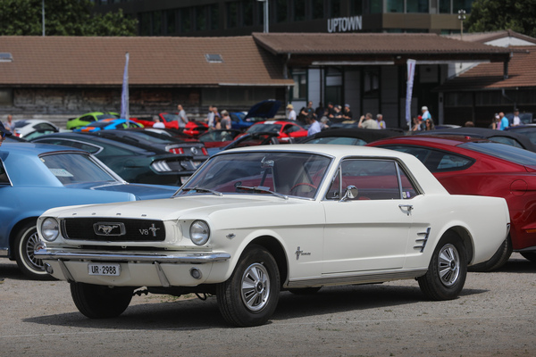 Ford Mustang Hardtop (1966) - Doppelt hält besser: zusätzliches Pferd im Grill, zusammen mit verweis auf die Motorbauform - 8. Mustang & Shelby Meeting 2024