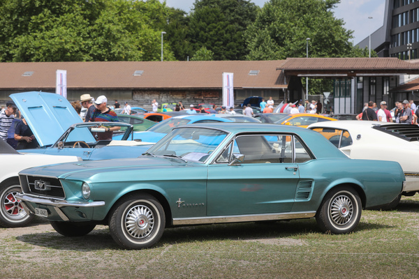 Ford Mustang Hardtop (1967) - erfreulich schlichtes Basismodell - 8. Mustang & Shelby Meeting 2024