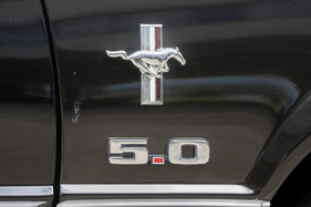 Wie in den Sechzigern: galloppierendes Pferd vor amerikanischer Trikolore auf dem Kotflügel