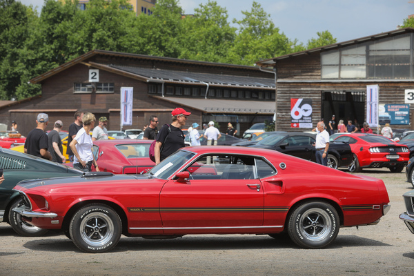 Ford Mustang Mach 1 (1969) - nur echt mit der Lufthutze auf dem hinteren Kotflügel - 8. Mustang & Shelby Meeting 2024