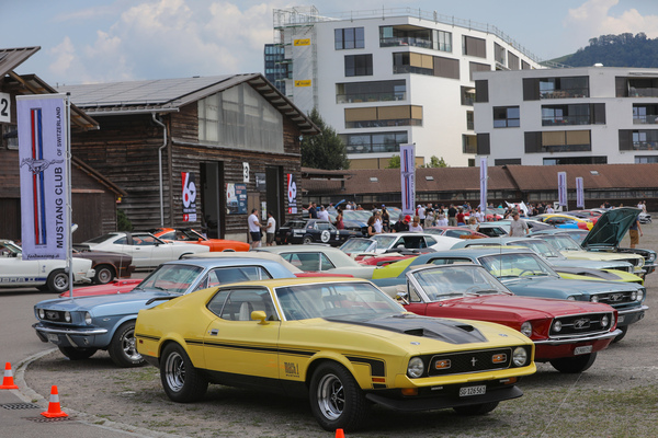 Ford Mustang Mach I (1971) - Abschluss einer reihe bunter Mustangs - 8. Mustang & Shelby Meeting 2024