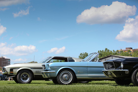 Herdentrieb - 7. Mustang & Shelby Meeting Zug 2019