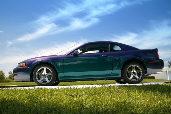 Ford Mustang SVT Cobra (2004) - mit spezieller Farbgebung