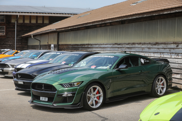 Ford Mustang Shelby GT500 (2023) - ausnahmsweise ohne doppelten Längsstreifen - 8. Mustang & Shelby Meeting 2024