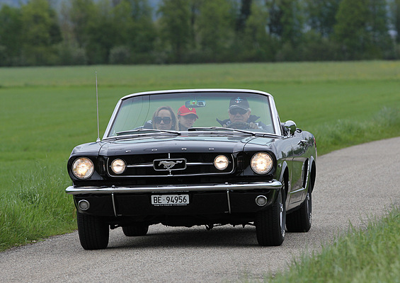 Ford Mustang - am Treffen "American Live" 2012