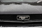 Ford Mustang - an der Dolder Clasics vom September 2013