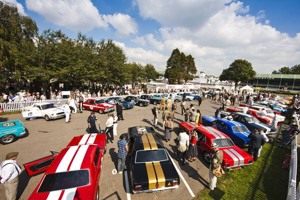 Bild: Ford Mustangs und Falcons warten im Vorstart des Shelby Cups - Goodwood Revival 2014