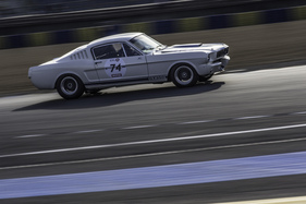 Ford Shelby Mustang GT 350 (1967) - Le Mans Classic 2014 - Plateau 5
