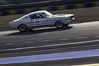 Ford Shelby Mustang GT 350 (1967) - Le Mans Classic 2014 - Plateau 5