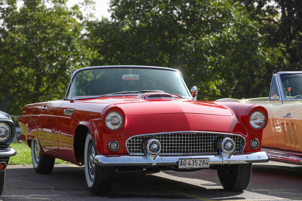 Ford Thunderbird (1955) – Albisgütli Classic Cars & Bikes Oktober 2023
