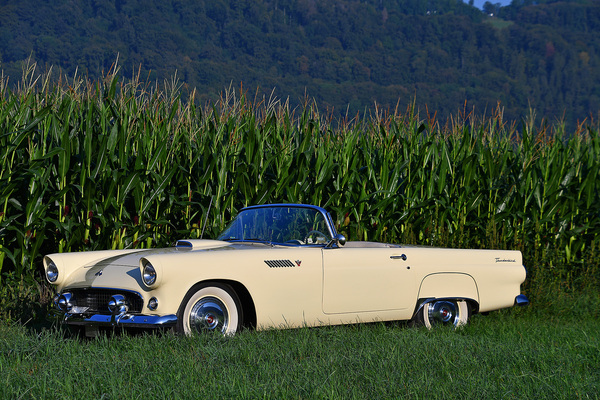 Ford Thunderbird (1955) - als Lot 141 an der "Gstaad Classic Car Auction" der Oldtimer Galerie Toffen am 29 Dezember 2023