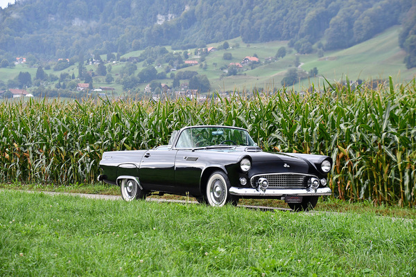 Bild: Ford Thunderbird (1955) - als Lot 146 an der Versteigerung der Oldtimer Galerie Toffen am 14. Oktober 2023 angeboten