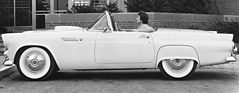 Ford Thunderbird (1955) - ein sehr eleganter Wurf