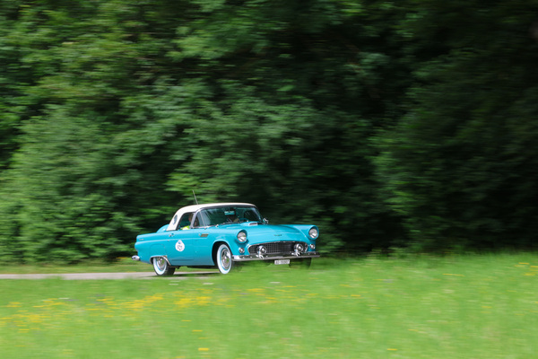 Ford Thunderbird (1956) - Startfeld "FaBaM - Freunde alten Blechs und aller Marken" - Oldtimer GP Brugger Schachen 2024