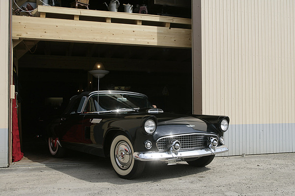 Ford Thunderbird (1956) - ausnahmsweise darf der schöne Wagen mal an die Sonne