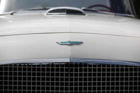 Ford Thunderbird (1957) - das Thunderbird-Signet