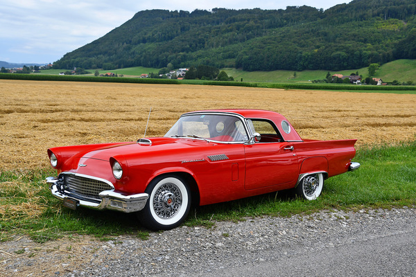 Ford Thunderbird (1957) - registered for auction at the Oldtimer Galerie Toffen on October 17, 2020