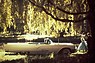 Ford Thunderbird (1959) - idyllische Parkstimmung (© Ford Motor Company, 1959) Ford Thunderbird (1959) - idyllische Parkstimmung (© Ford Motor Company, 1959)