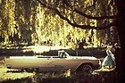 Ford Thunderbird (1959) - idyllische Parkstimmung