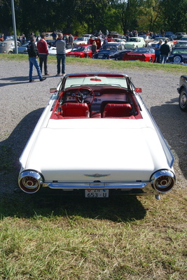 Ford Thunderbird (1963) – Albisgütli Classic Cars & Bikes September 2022
