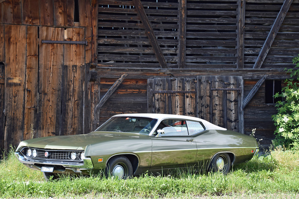 Ford Torino 302 V8 Hardtop Coupé (1970) - als Lot 44 an der Versteigerung der Oldtimer Galerie in Toffen am 19. Oktober 2019