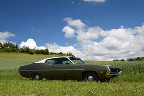 Ford Torino 302 V8 Hardtop Coupe (1970) - angeboten an der Versteigerung der Oldtimer Galerie Toffen am 26. November 2016