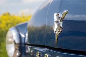 Ford Vedette (1954) - V8-Zeichen auf dem Bug