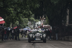 Frazer Nash Mille Miglia (1952) - an der Mille Miglia 2016