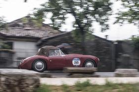 Frazer Nash Mille Miglia (1953) - an der Mille Miglia 2016