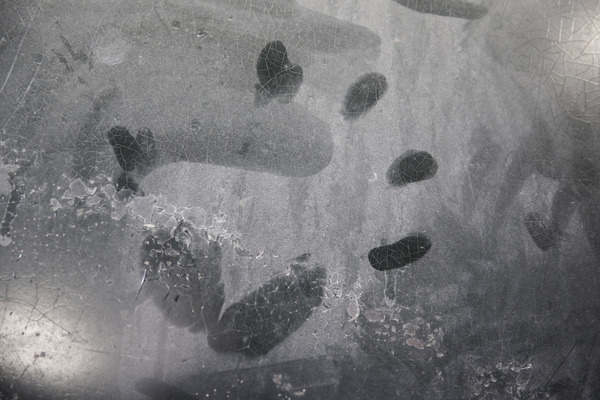 … Fremd-DNA.