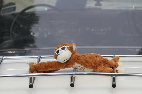 Freundlicher Beifahrer - Oldtimer in Obwalden (O-iO) 2018