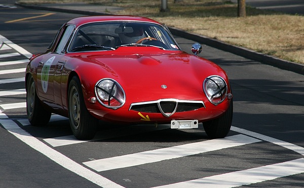 GP Suisse 2009 in Bern - Alfa-Romeo TZ1 (1964)