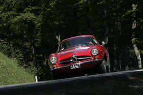 Gaisbergrennen 2011 - Alfa Romeo Giulia SS (1963) - am Gaisberg