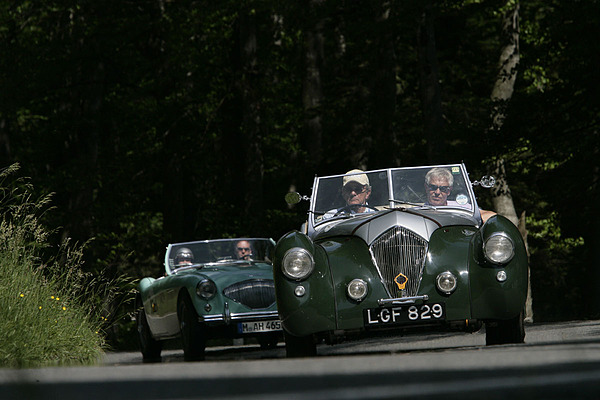 Gaisbergrennen 2011 - Healey Westland (1950) - mit grossen Schritten auf den Gaisberg