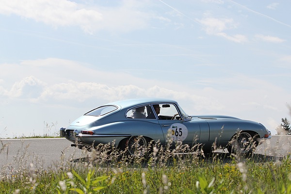 Gaisbergrennen 2011 - Jaguar E Type (1963) - auf dem Gaisberg
