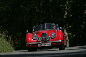 Gaisbergrennen 2011 - Jaguar XK 120 OTS (1952) - in zügiger Fahrt auf den Gaisberg