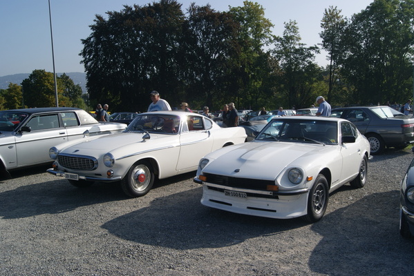 Ganz in Weiss: Datsun 240 Z mit üppigem Schneeschieber neben Volvo P 1800 S – Albisgütli Classic Cars & Bikes Oktober 2023