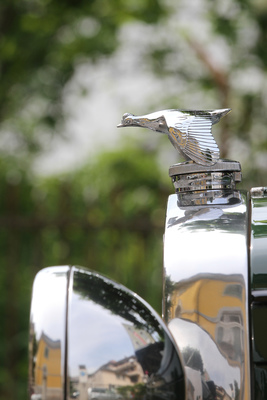 Ganz schön keck - Kühlerfigur auf einem Ford Model A - Oldtimer in Obwalden (O-iO) 2018