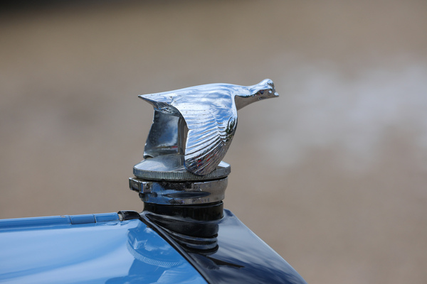 Gefiederte Kühlerfigur auf einem Ford - 18. ASC-Classic-Gala Schwetzingen 2022